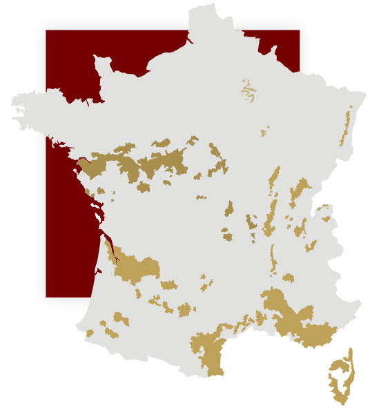 carte-france